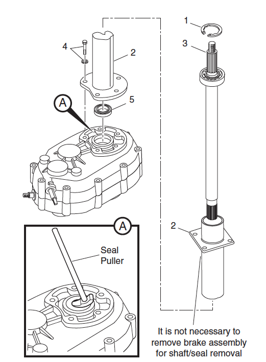 Rear Axle Seal